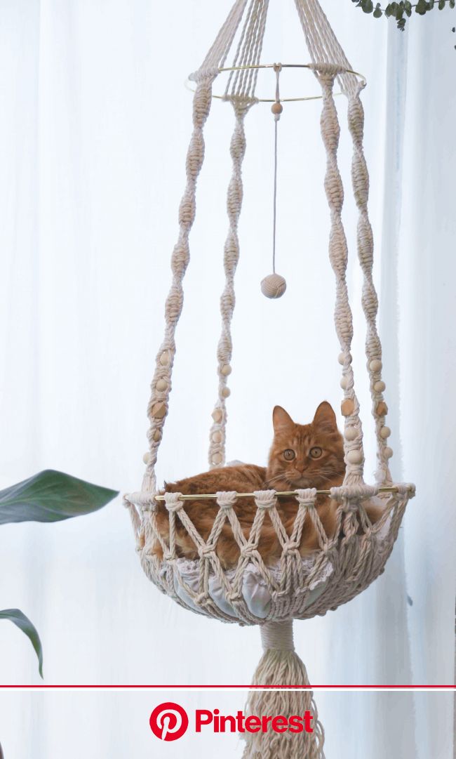 Macrame Cat Hammock Woven Hanging Dog Bed Macrame Wall Cat | Etsy | Cat hammock, Macrame cat hammock, Macrame plant hangers